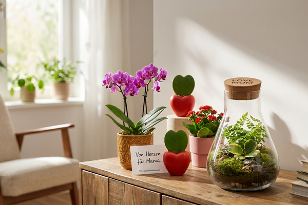 Muttertagsgeschenke 2026: Die schönsten Pflanzen & Sets im Überblick