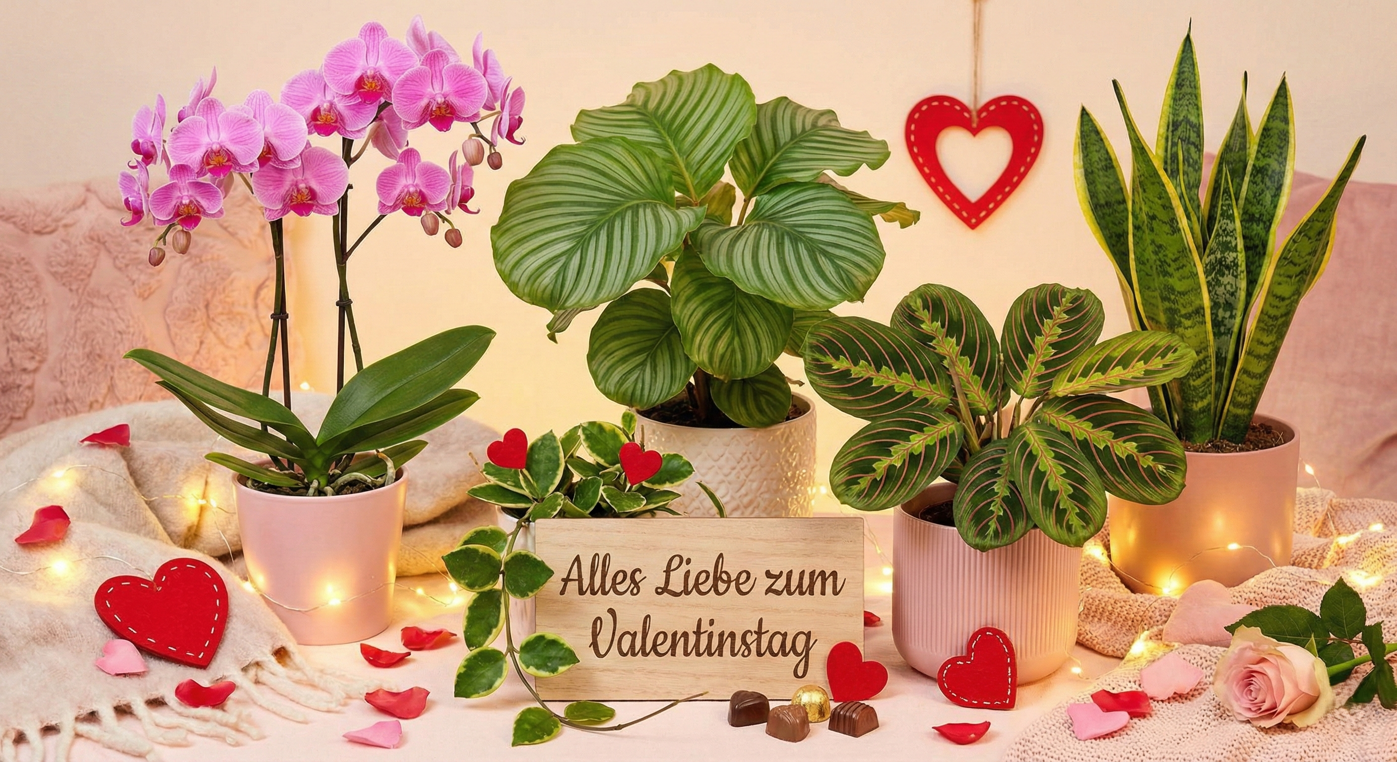 Für die Liebe, die bleibt: Unsere Valentinstags-Kollektion Deluxe ❤️🌿