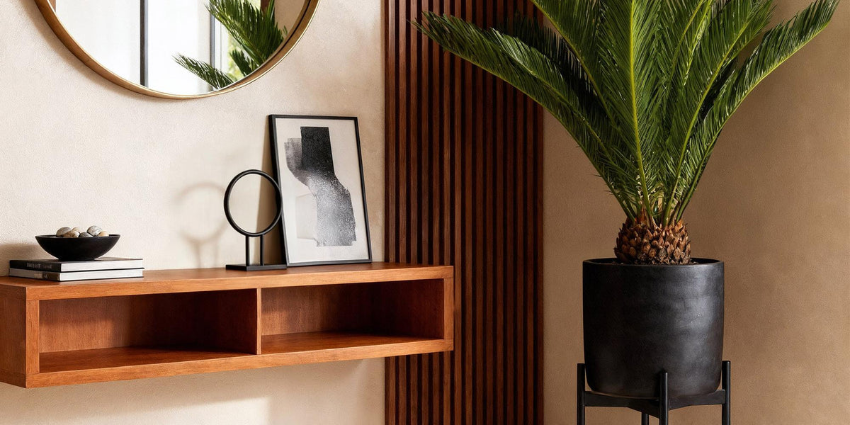 Cycas revoluta (Palmfarn) im Porträt: Pflege, Standort und Vermehrung