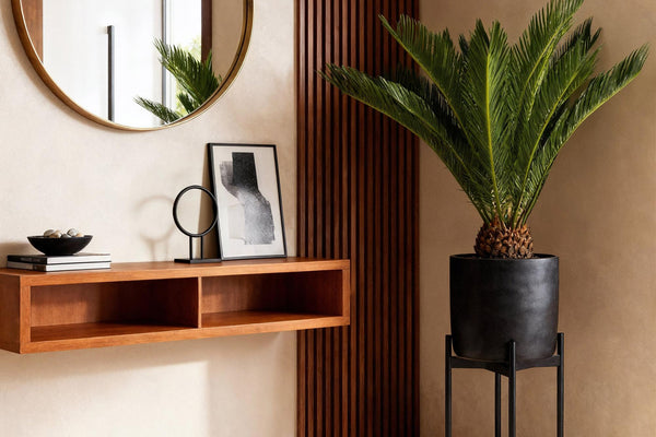 Cycas revoluta (Palmfarn) im Porträt: Pflege, Standort und Vermehrung