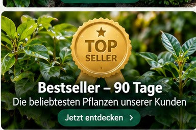 Bestseller – 90 Tage