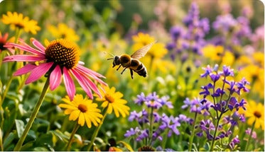 Bienenfreundliche Pflanzen