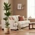 Dracaena Janet Lind XXL - 180cm: Große Grünpflanze für Ihr Zuhause Bild 2