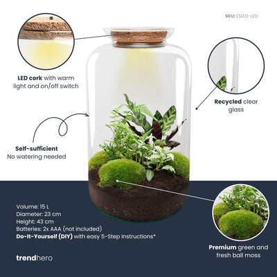 Bottle Garden Botanical Sven XL DIY Kit with Tools (43 cm)