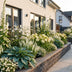 GreenboutiQ Perennial Package White: 24 Plants for 3m², Easy to Care For Bild 1