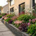 GreenboutiQ Shade Perennial Pack: 24 Plants for 3m², Easy Care Bild 1