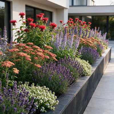 GreenboutiQ Fragrant Perennial Plant Package: 24 Plants for 3 m², Low Maintenance