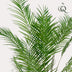 Kunstpflanze Goldpalme Areca Lutescens, 180 cm - Immergrüner Tropen-Look Bild 3