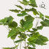 Kunstpflanze Ficus Umbellata (Afrikanische Feige), 125 cm Bild 3