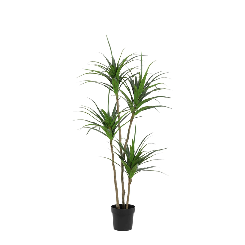 Kunst Dracaena 165cm - Künstliche Pflanze für stilvolles Ambiente