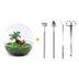 Bottle Garden Dome XL: Ficus Ginseng Bonsai DIY Set Bild 1
