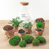 Bottle Garden Sam XL: DIY Plant Terrarium 35cm, incl. Tools & Instructions Bild 5