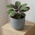 Pot Relief Blauw D13,5 – Eleganter Blumentopf mit geometrischem Muster Bild 4