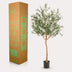 Kunstbaum Olive Olea europaea - 180 cm Bild 6