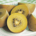 Green boutiQ - Obst Pflanze - Actinidia deliciosa Golden Kiwi - Kiwi Pflanze - Weiblich - Gelbe Frucht - 2 Pflanzen - Topf 15cm - Höhe 50cm Bild 4
