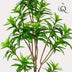 Kunstpflanze Drachenbaum (Dracaena) - 155 cm, immergrün & pflegeleicht Bild 4