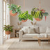 Kokodama Maranta Mix - Set of 3 - 15cm Ø - Hanging Leaf Art Bild 2