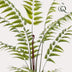 Kunstpflanze Rumohra Adiantiformis (Lederfarn), 180 cm Bild 3