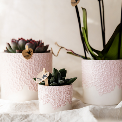 Kolibri Blumentopf Pink Ø6cm: Romantisch & Elegant