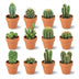 Mini Kakteen Mix (12 Stück) Ø 8,1 cm, Höhe 5-10 cm, Terrakotta Bild 1