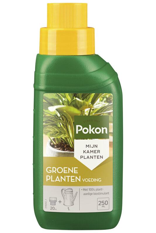 Grünpflanzennahrung 250 ML: Organischer Dünger für gesunde Pflanzen