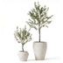 Künstlicher Olivenbaum 140 cm – Mediterranes Flair für Ihr Zuhause Bild 3