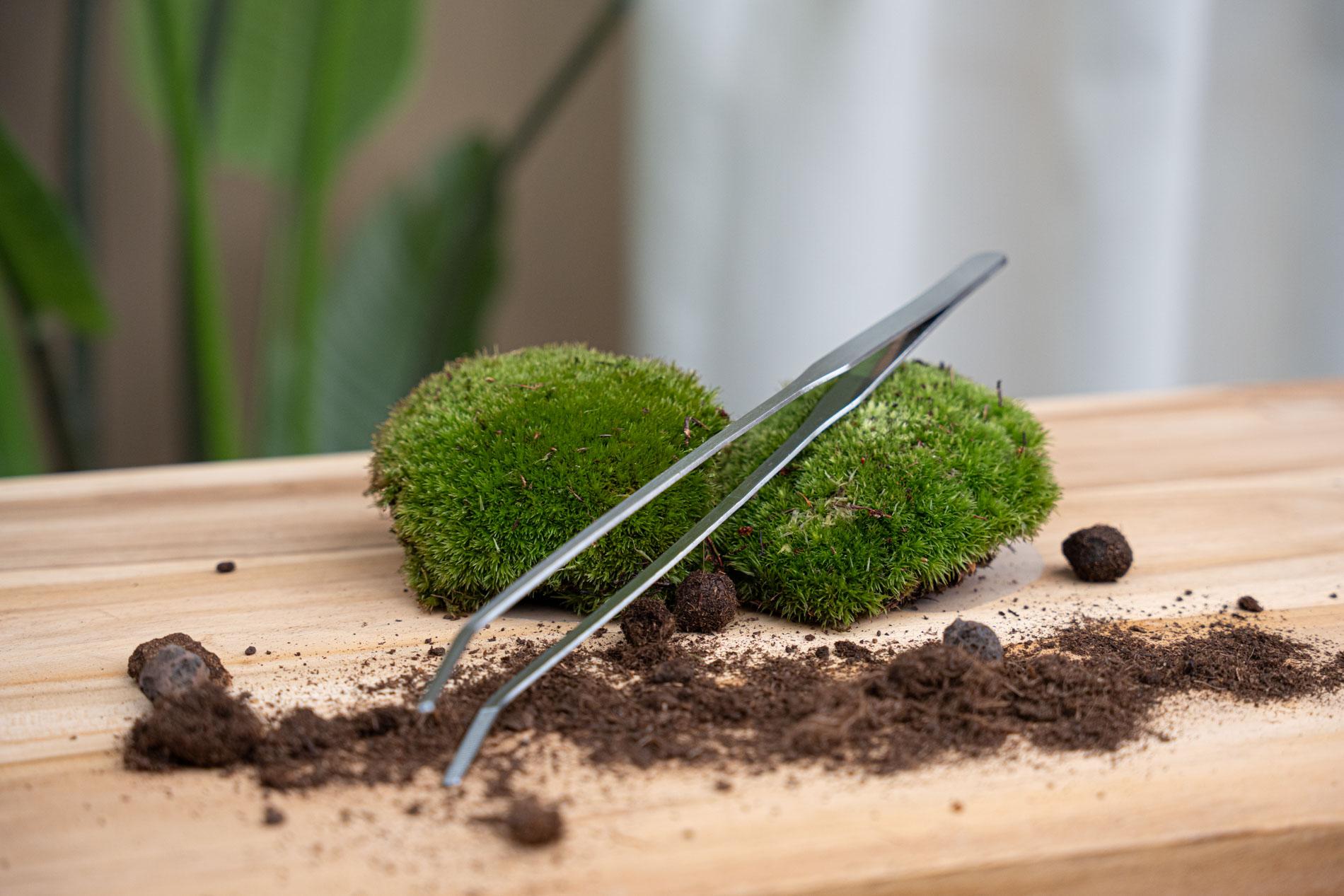 Terrarium pincet - Metaal - 26 cm lang