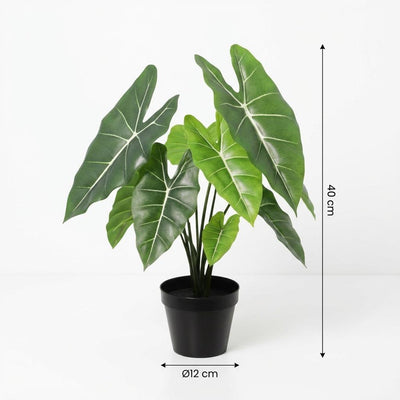 Kunst Alocasia Polly: Künstliche Pflanze, 40cm – Tropenflair ohne Pflege
