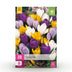 GreenboutiQ - Krokus Blumenzwiebeln XXL Pack, 30 Stück, Große Blüten Bild 1