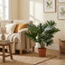 Artificial Philodendron Selloum 70cm - Tropical Flair Without the Fuss Bild 3