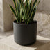 Elho B.for soft Topf Anthrazit, 18 cm Bild 5