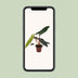 Philodendron Billietiae - Topf Ø12cm, Höhe ca. 25cm Bild 5