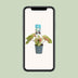 Caladium Miss Muffet Topfpflanze, Ø12cm, ↕25cm Bild 5