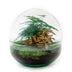 Bottle Garden Red Dome DIY Kit ↕ 20 cm | Everything included Bild 2
