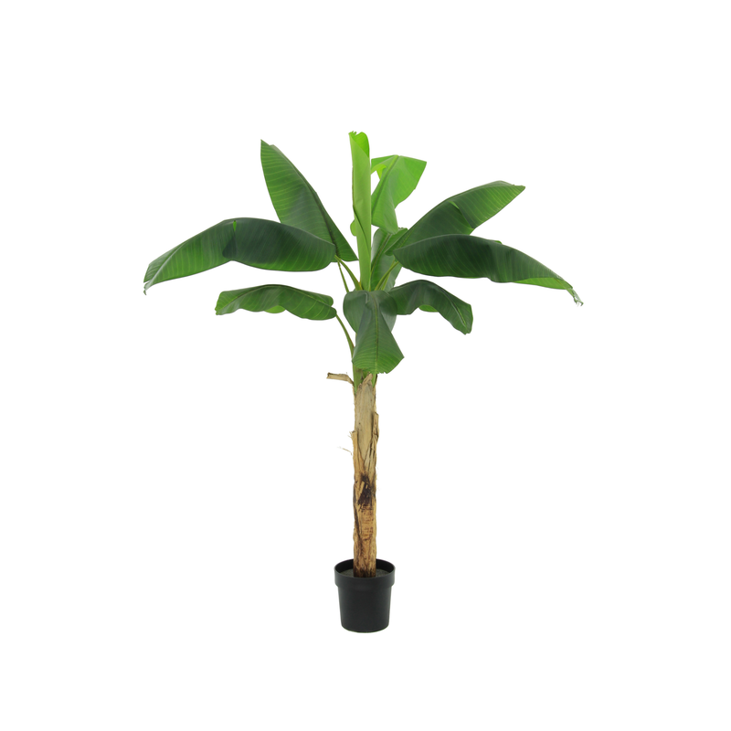 Artificial Banana Plant Musa 180cm – Tropical Flair Without the Fuss