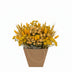 Dried Flowers Mono-Mix Yellow, approx. 50 cm high Bild 1