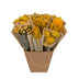 Dried Flowers Mono-Mix Yellow, approx. 50 cm high Bild 2
