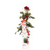 Rote Rose 'Crazy in Love' - Ø15cm Topf, 65cm hoch Bild 4