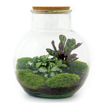 Flaschengarten - Teddy - ↕ 26,5 cm - Rechen + Schaufel + Pinzette