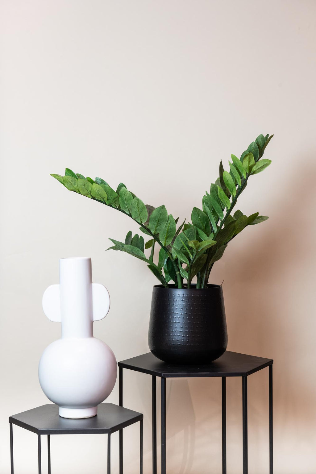 Kunstpflanze - Zamioculcas - Zimmerpalme - 70 cm