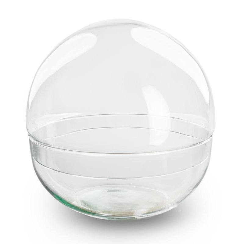 Glasterrarium Dome XL - Kugel-Ökosystem für Pflanzen, Ø 28cm
