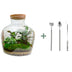 Bottle Garden DIY Kit: Fat Joe with Plants & Tools Bild 1