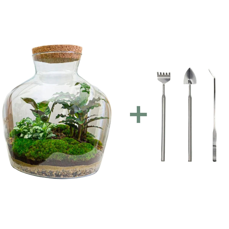 Bottle Garden DIY Kit: Fat Joe with Plants & Tools