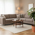 Schefflera Gold Capella Houseplant - Ø21cm - ↕75cm Bild 3