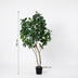 Künstlicher Ficus Lyrata Baum (180 cm) - Pflegeleicht & Dekorativ Bild 2