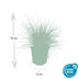 6x Festuca glauca 'Elijah Bleu' - Blaues Ziergras, 10-25cm Bild 3