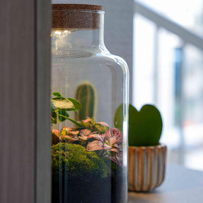 'LOVE MOM' Terrarium Little Milky + gravierter Kork mit Licht - Flaschengarten DIY Set - Ø 17 cm ↑ 25 cm - Muttertag