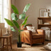 Artificial Strelitzia Nicolai - 180cm: Tropical Flair Without Maintenance Bild 4
