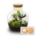 Flaschengarten - Fat Joe - ↕ 30 cm - Keine Werkzeuge Bild 2