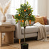 Kunstpflanze Citrus Sinensis Orangenbaum 75cm Bild 4